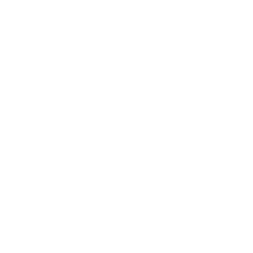 Expert Development